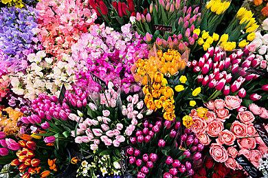 《巫师3》次世代更新PC版表现糟糕 官方回应